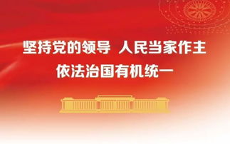桂城深入推進“戶聯系”工作 食品檢測、健康咨詢與反邪教宣傳齊頭并進